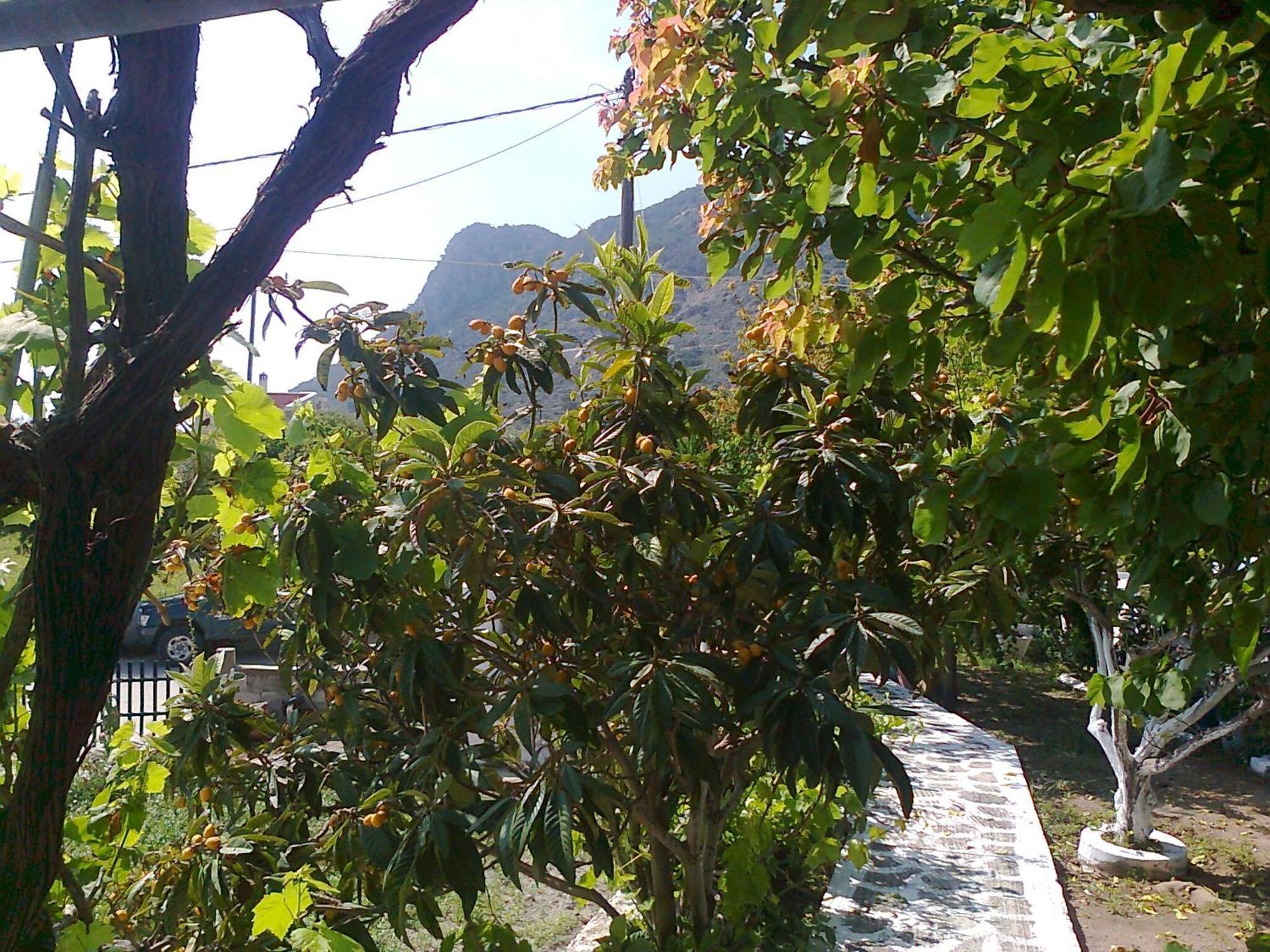 Dionysia Studios Κέφαλος Εξωτερικό φωτογραφία