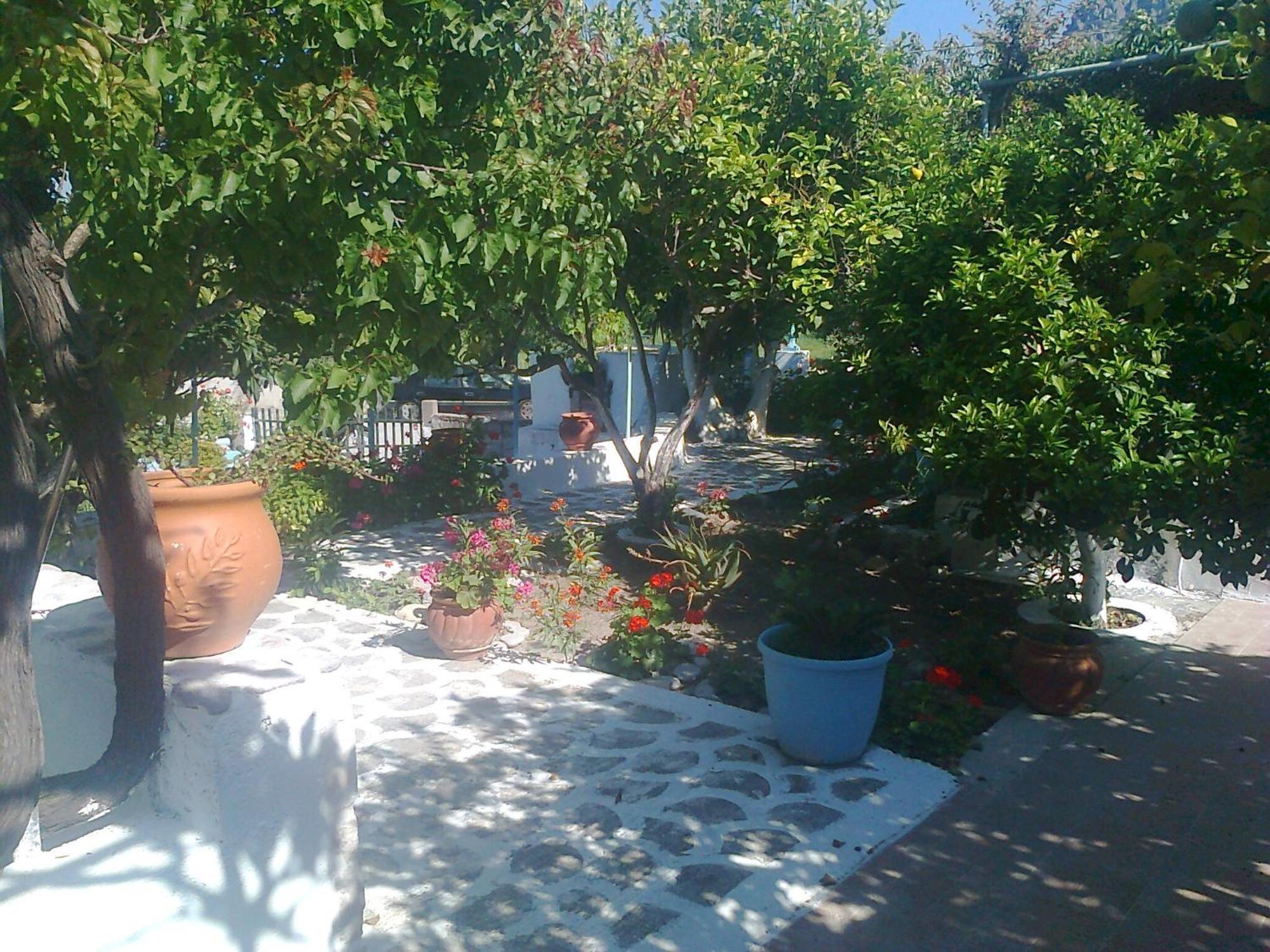 Dionysia Studios Κέφαλος Εξωτερικό φωτογραφία
