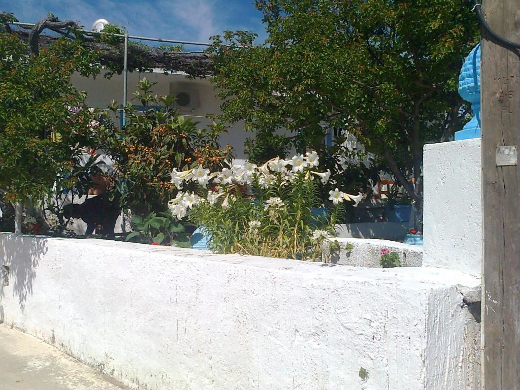 Dionysia Studios Κέφαλος Εξωτερικό φωτογραφία