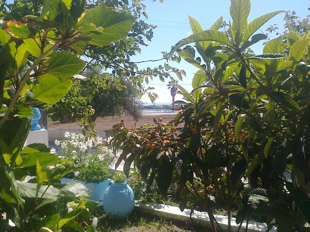 Dionysia Studios Κέφαλος Εξωτερικό φωτογραφία
