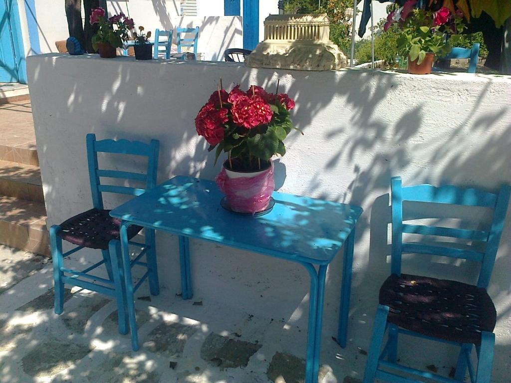 Dionysia Studios Κέφαλος Εξωτερικό φωτογραφία